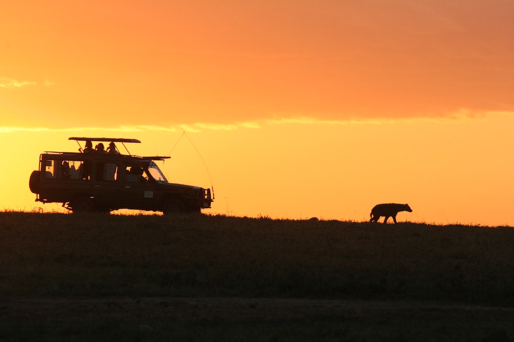 Sunset Safari