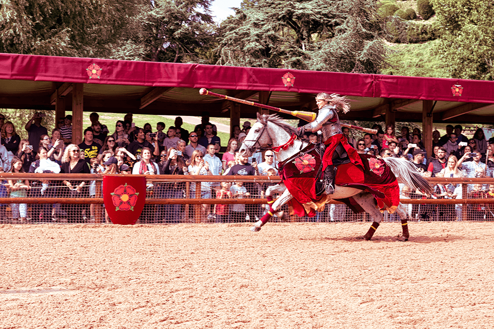 Jousting