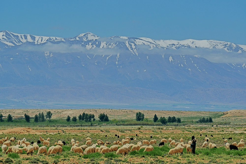 The Atlas Mountains