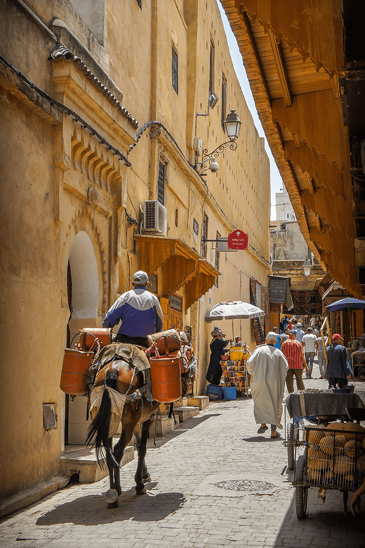 A street in Fes, Morocco