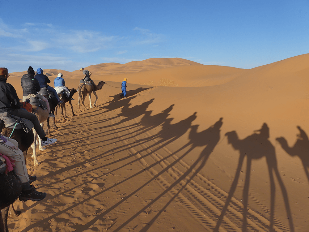 Riding Camels