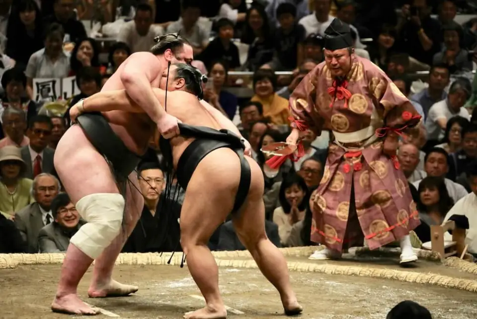 Sumo Training