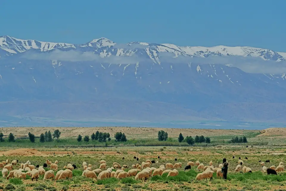 The Atlas Mountains
