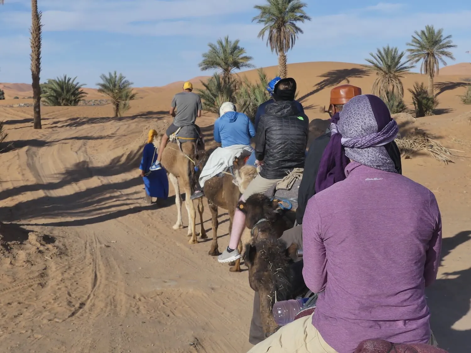 WanderRock travelers riding camels