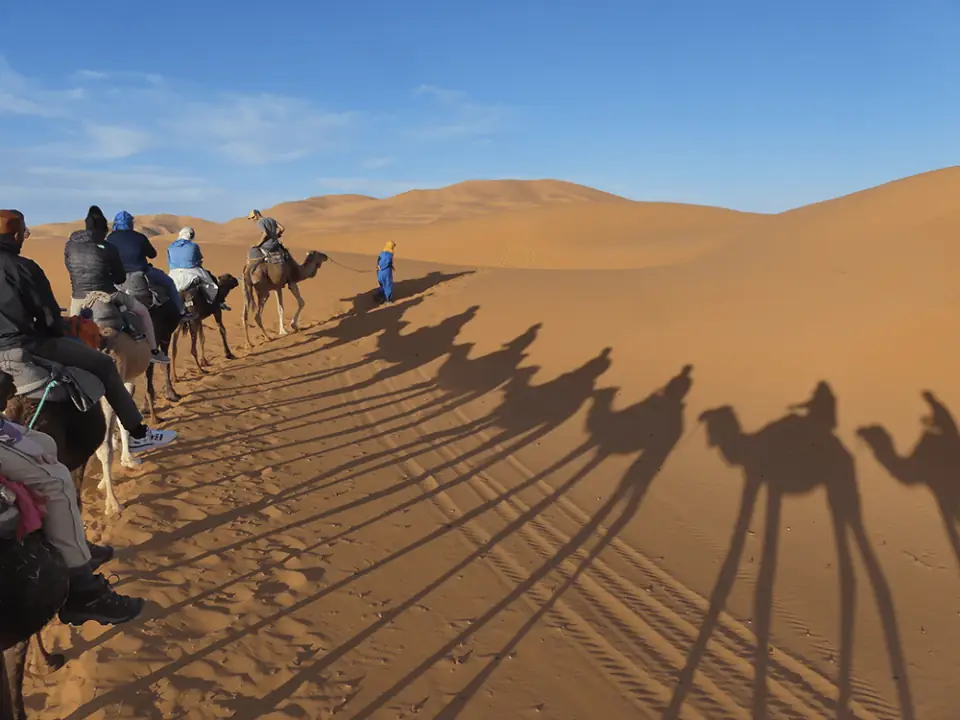 Riding Camels