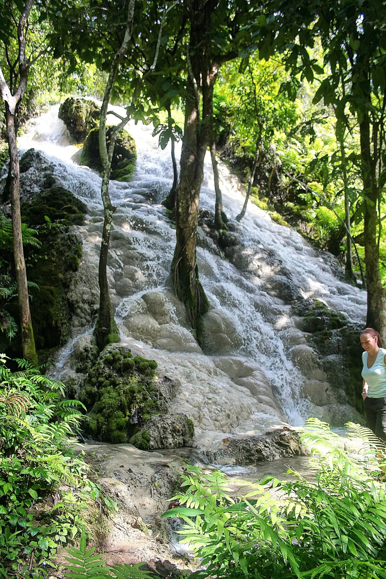 The Sticky Waterfalls outside Chiang Mai